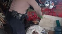 IMG-20250524-WA0693
