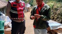 IMG-20250727-WA0424
