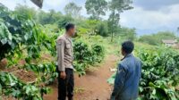 IMG-20260111-WA0295