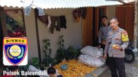 IMG-20260612-WA0169