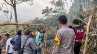 IMG-20260907-WA0148